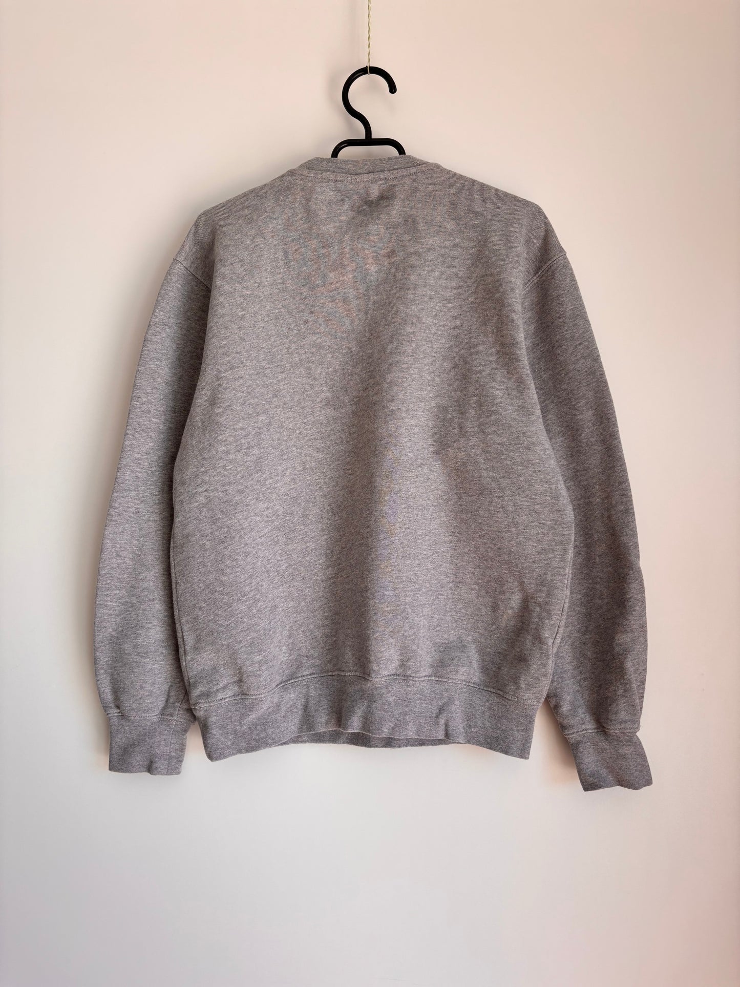 Champion Pullover