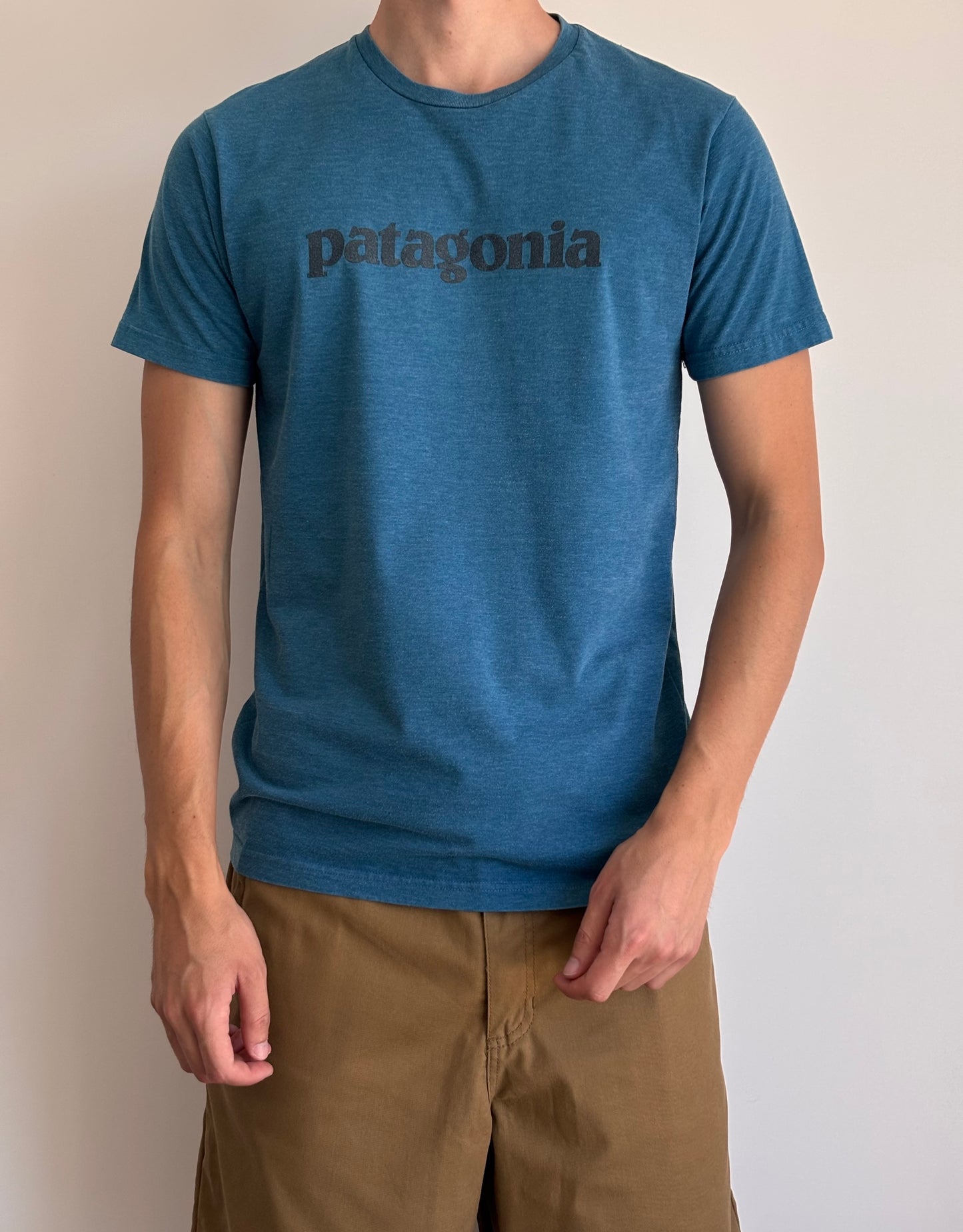 Patagonia Tee