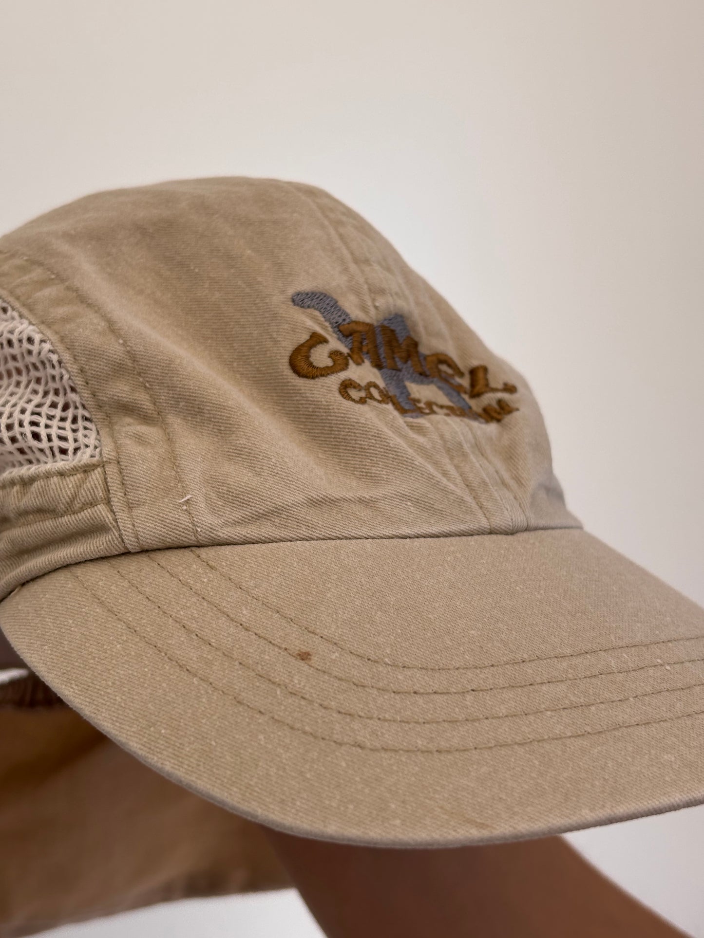 Camel Hat
