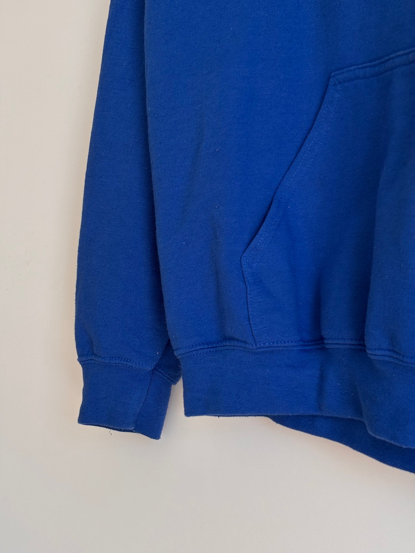 Gildan Panthers Hoodie
