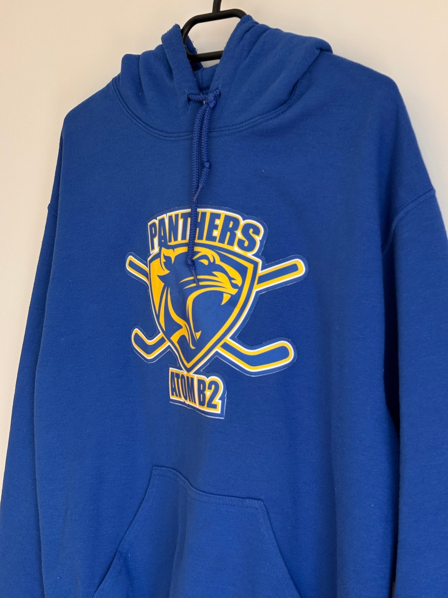 Gildan Panthers Hoodie