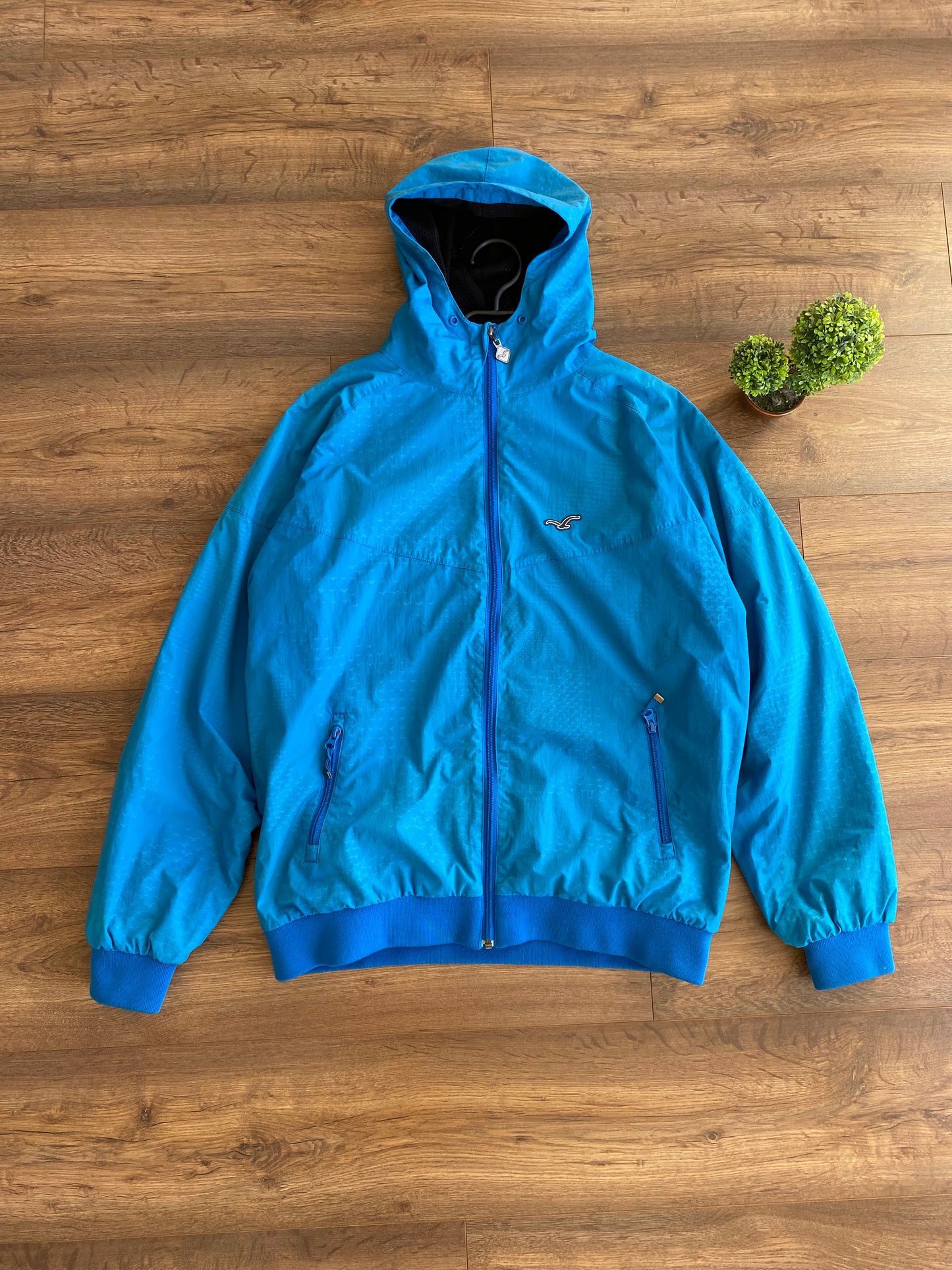 Hollister Jacket